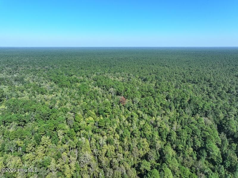 Recreation at 0 Angola Bay Road, Wallace, NC 28466, photo 6 of 16