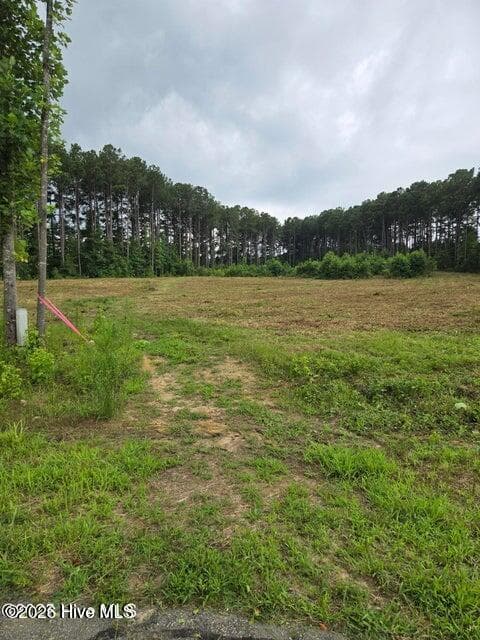 Lot 51 51 Roseheath Court, Bailey, NC 27807