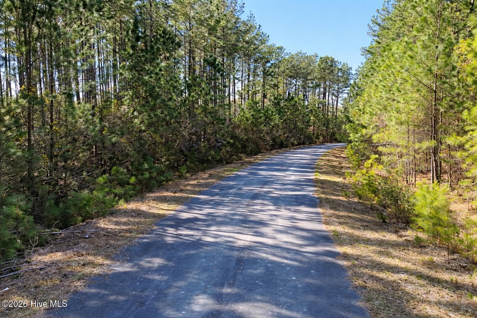 Residential Lot at 120 Water Oak Drive, Oriental, NC 28571, photo 3 of 9