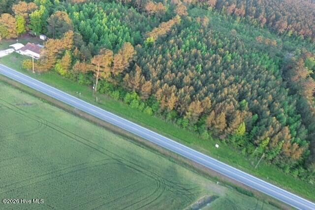 Unimproved Land at 53 Nc Hwy 53, Burgaw, NC 28425, photo 5 of 11