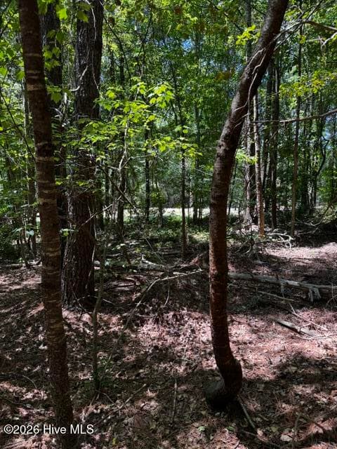 Undeveloped at Lot 1 Dan Road, Robbins, NC 27325, photo 14 of 22