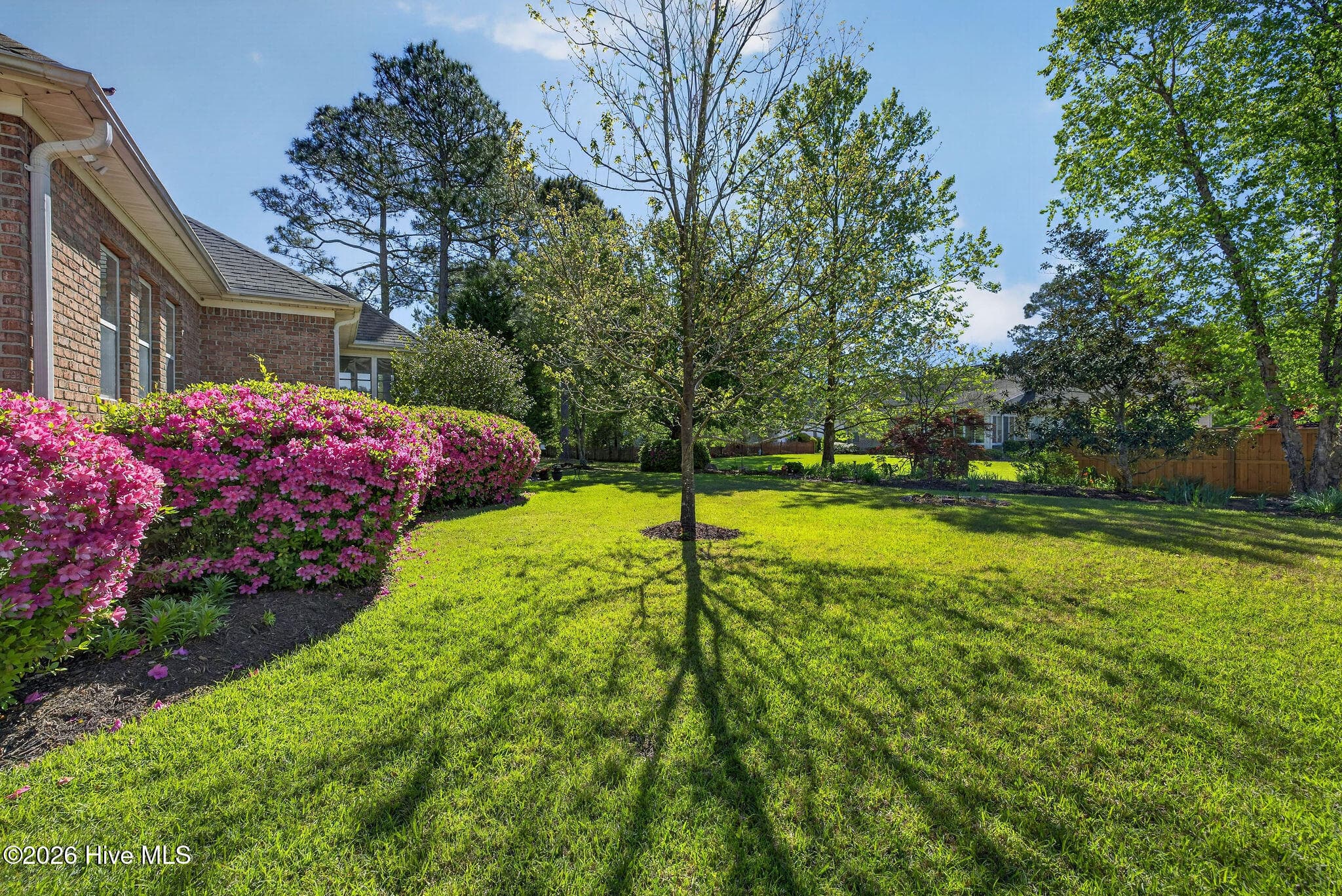 Backyard - 1113 Willow Pond Lane, Leland, NC 28451