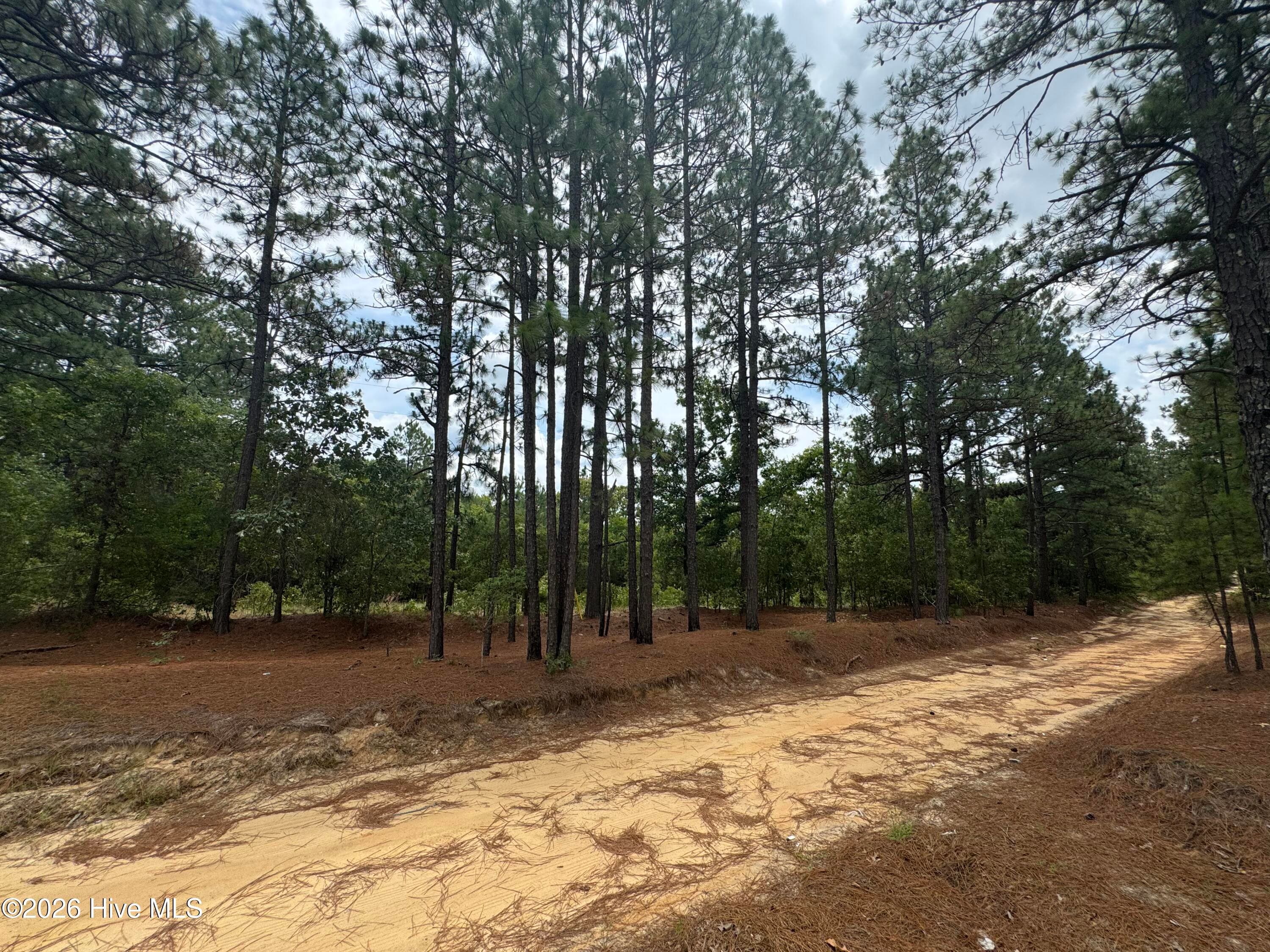 000 Lizzie Jeter Lane, Cameron, NC 28326