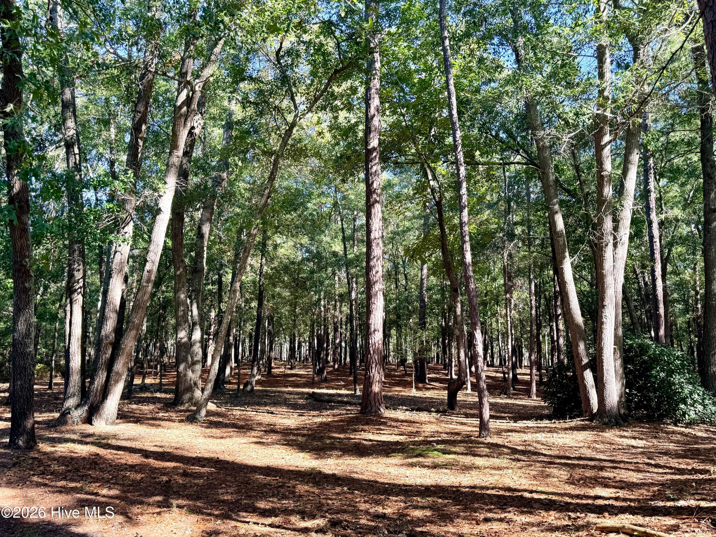 view from back of house - 12681 Blues Farm Road, Laurinburg, NC 28352