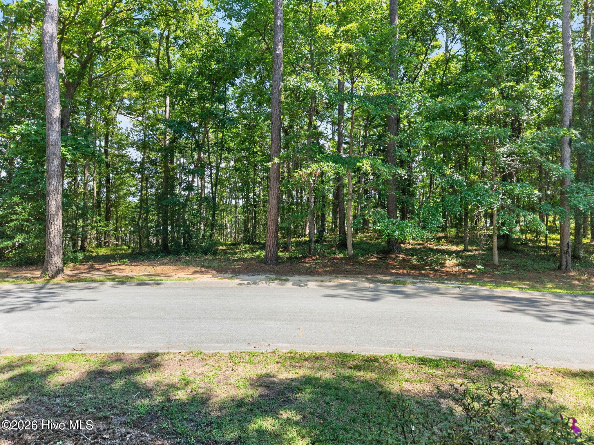 Residential Lot at 3075 L-54 Valderama Way SE, Bolivia, NC 28422, photo 5 of 25
