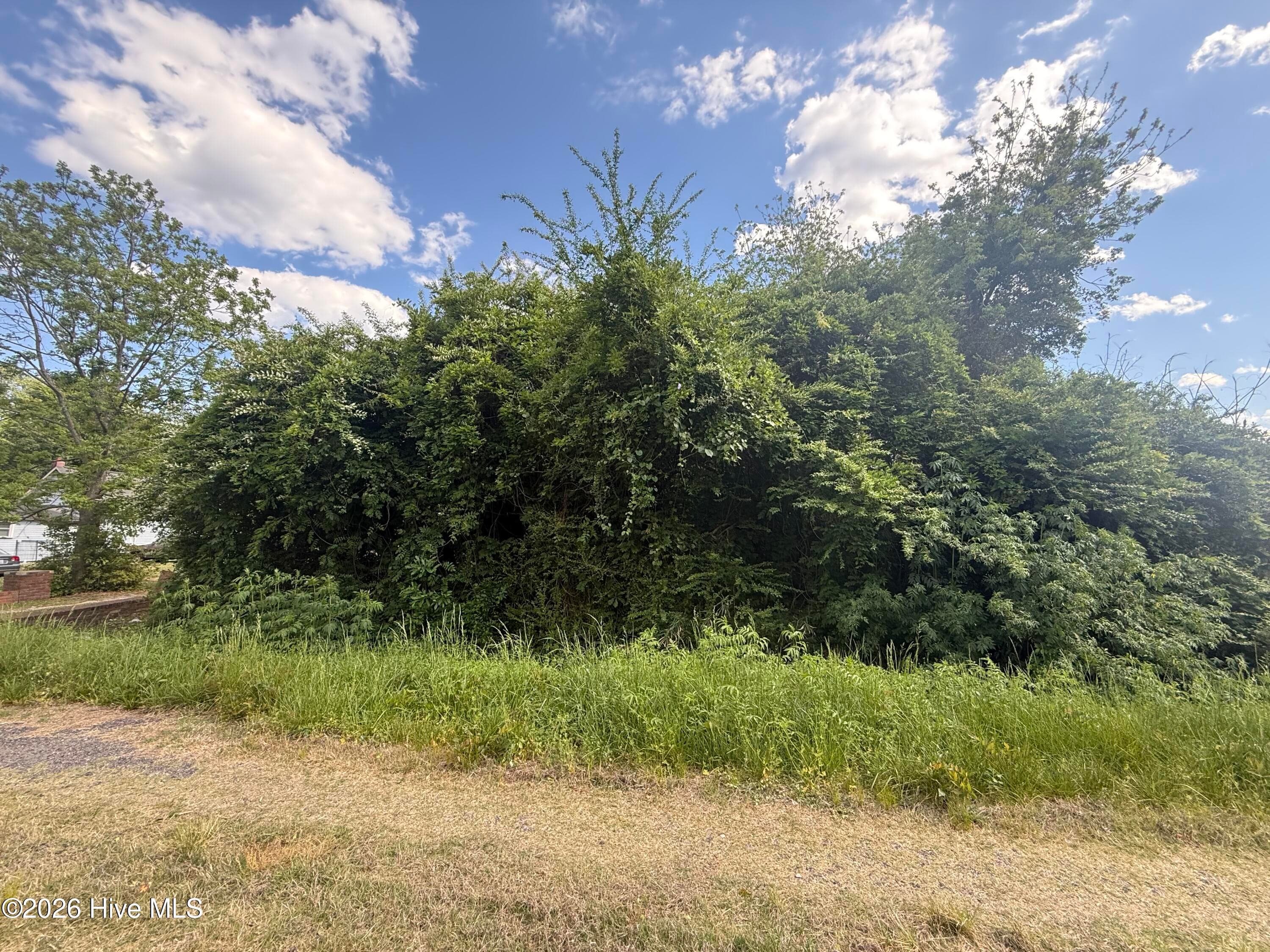 Residential Lot at 4 4 W Hayes Street, Burgaw, NC 28425, photo 3 of 3