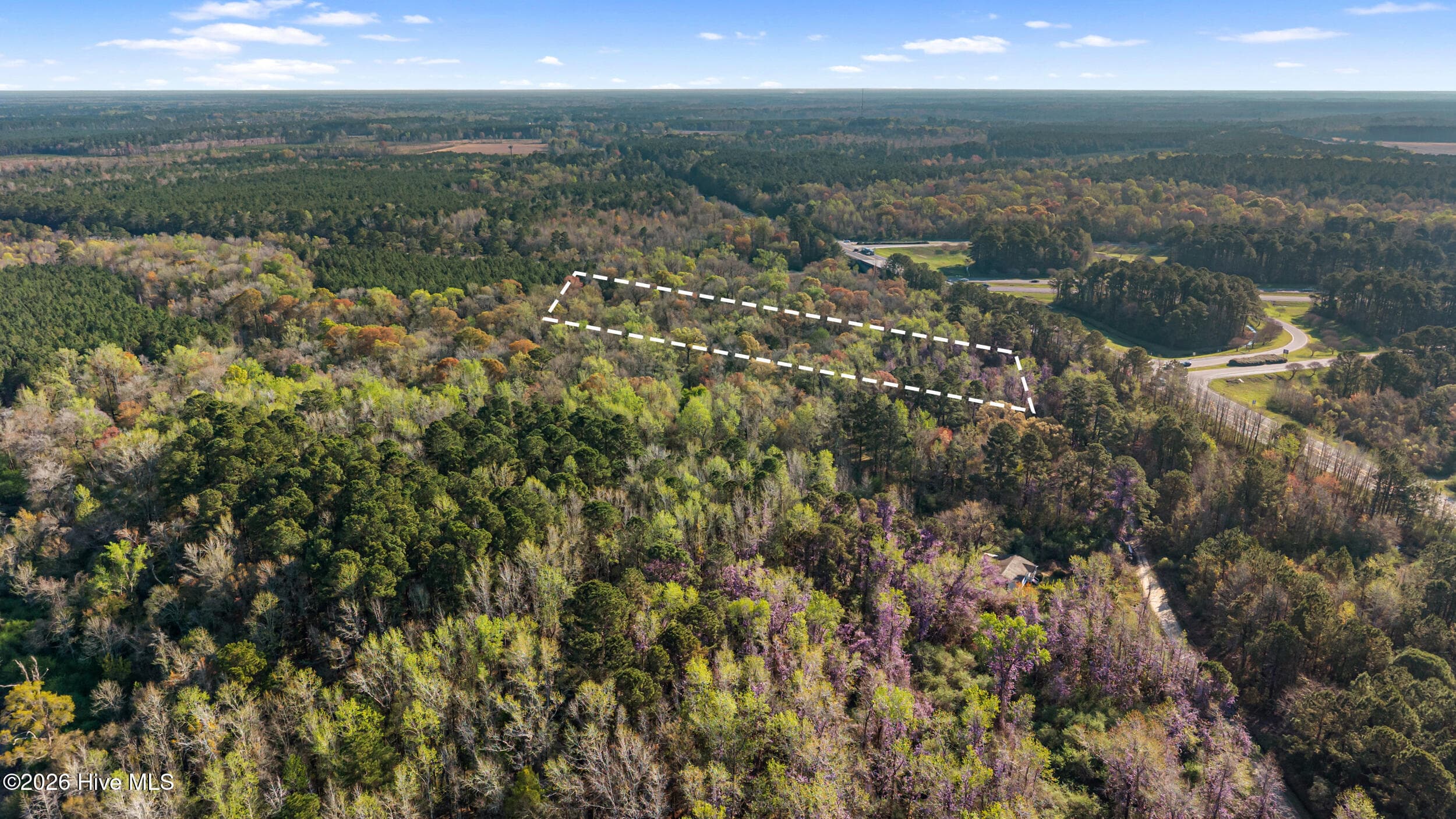 Residential Land at 351 Burgaw Creek Loop Road, Burgaw, NC 28425, photo 9 of 21
