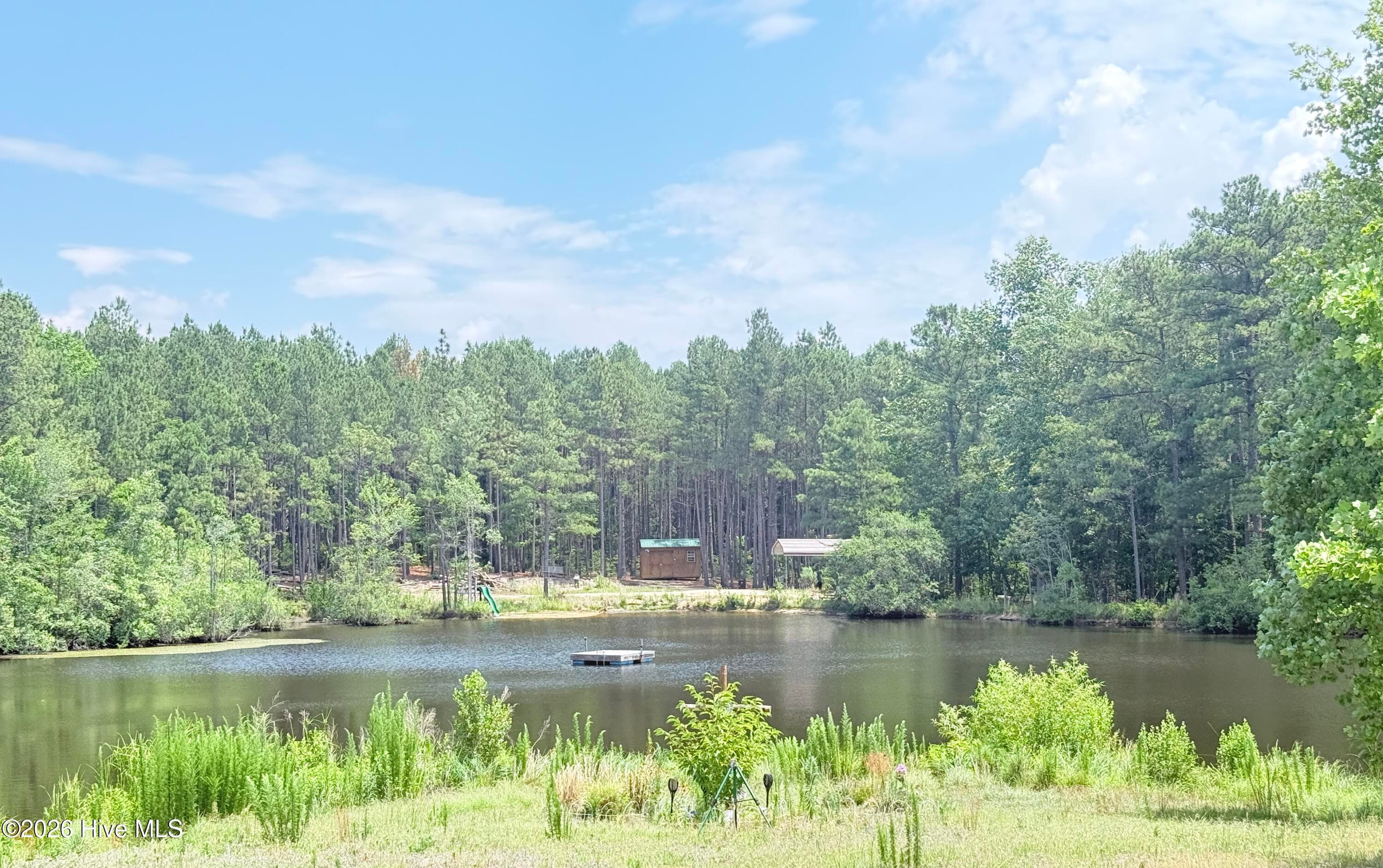 Single Family Residence at 137 Manley Road, Carthage, NC 28327, photo 7 of 64