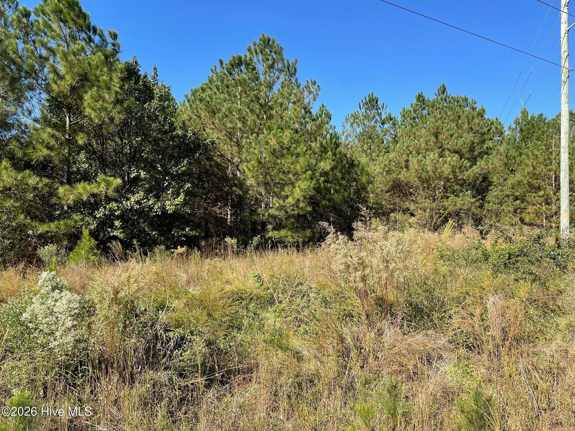 Wooded at 1c 1C Dunn Road Ext, Roseboro, NC 28382, photo 6 of 7