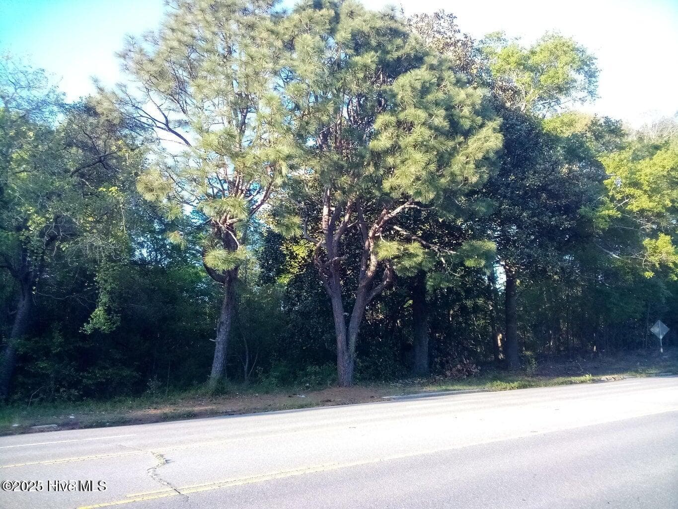 Residential Lot at Tbd Hwy 74 E, Hamlet, NC 28345, photo 2 of 7