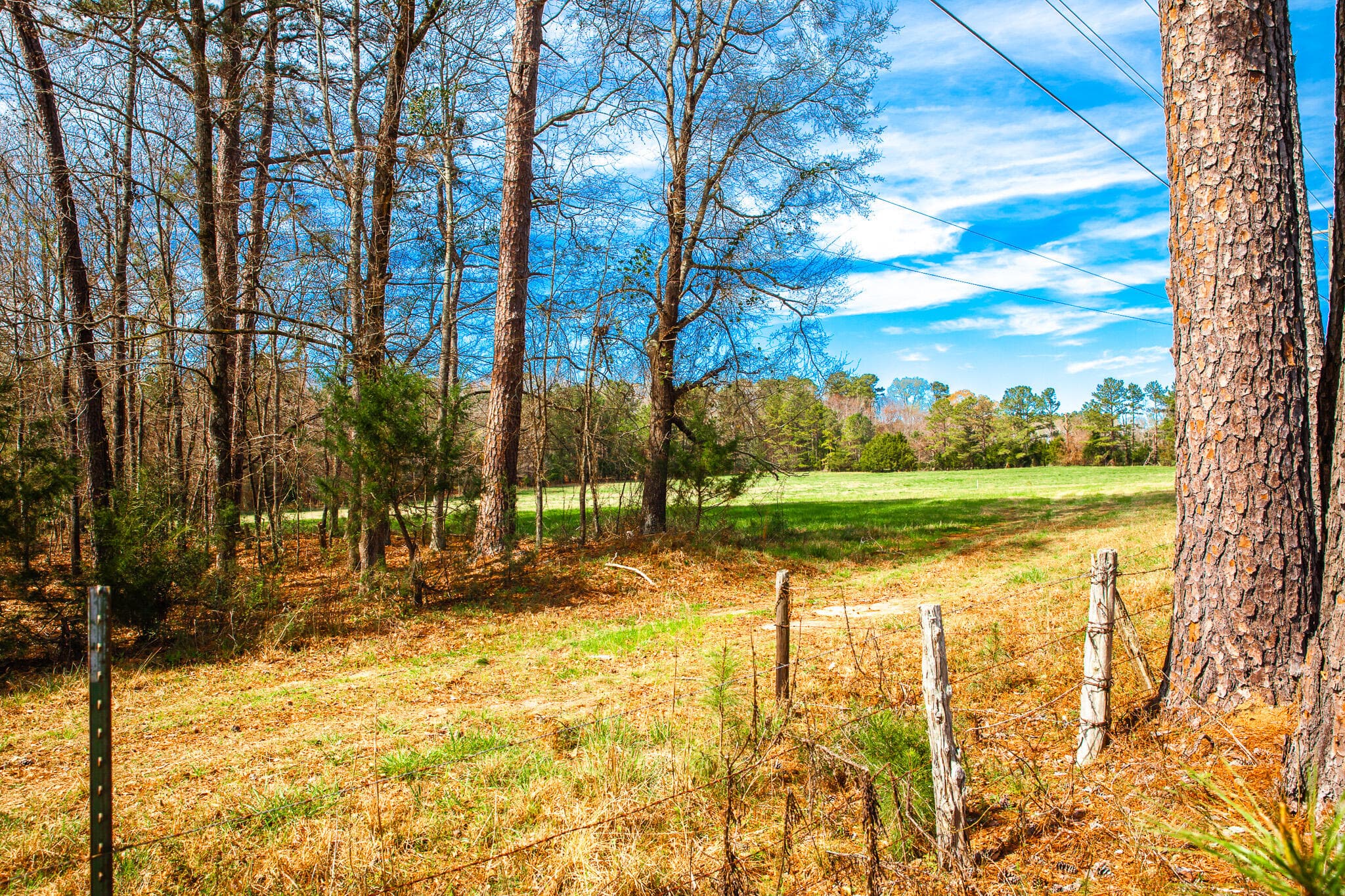 Undeveloped at 3510 4 Mistletoe Road, Appling, GA 30802, photo 5 of 7