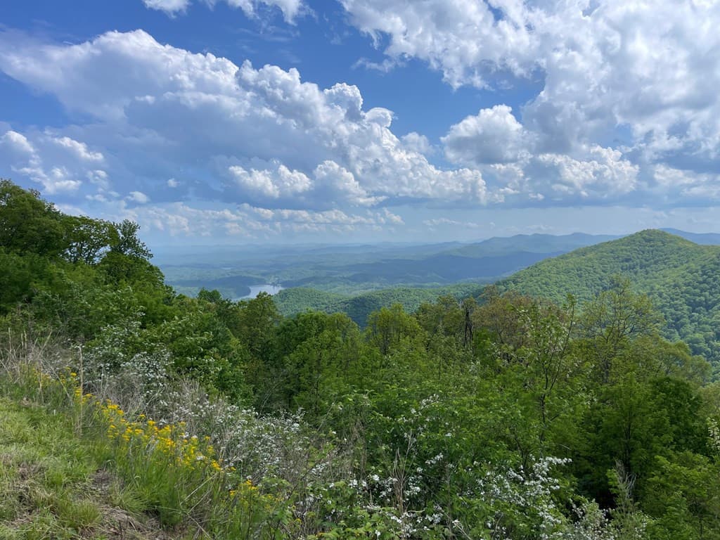 Undeveloped at 0 Burrell Mountain Road, Murphy, NC 28906