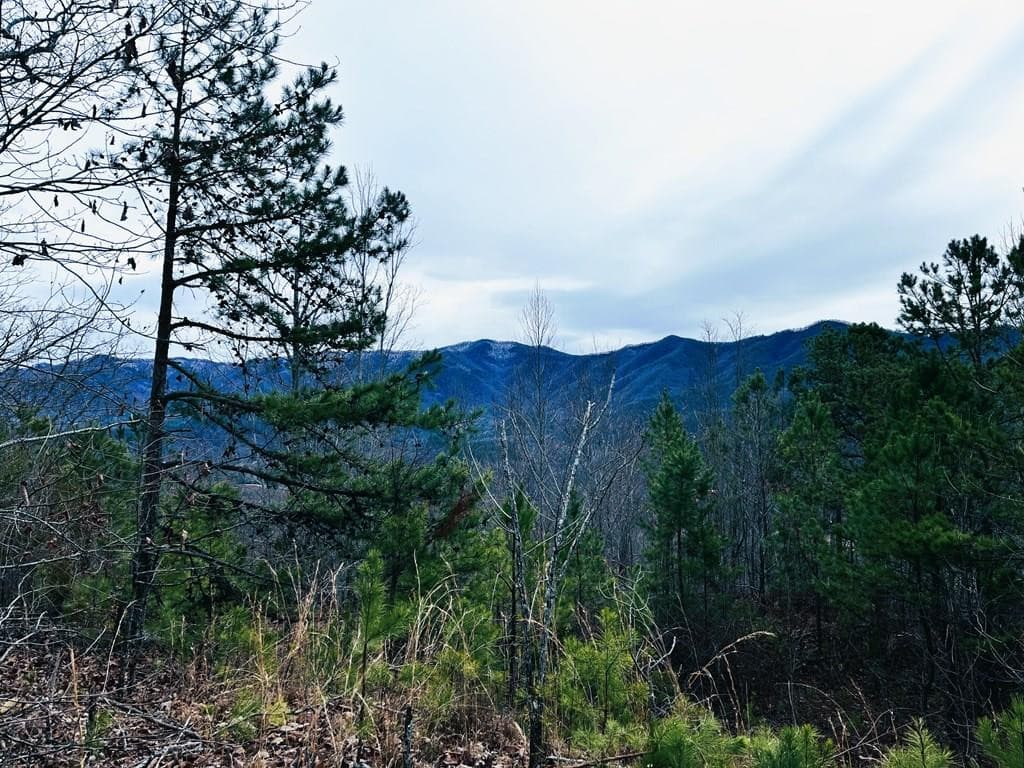 Land at 1441 Valley View Heights Lane, Andrews, NC 28901, photo 11 of 11