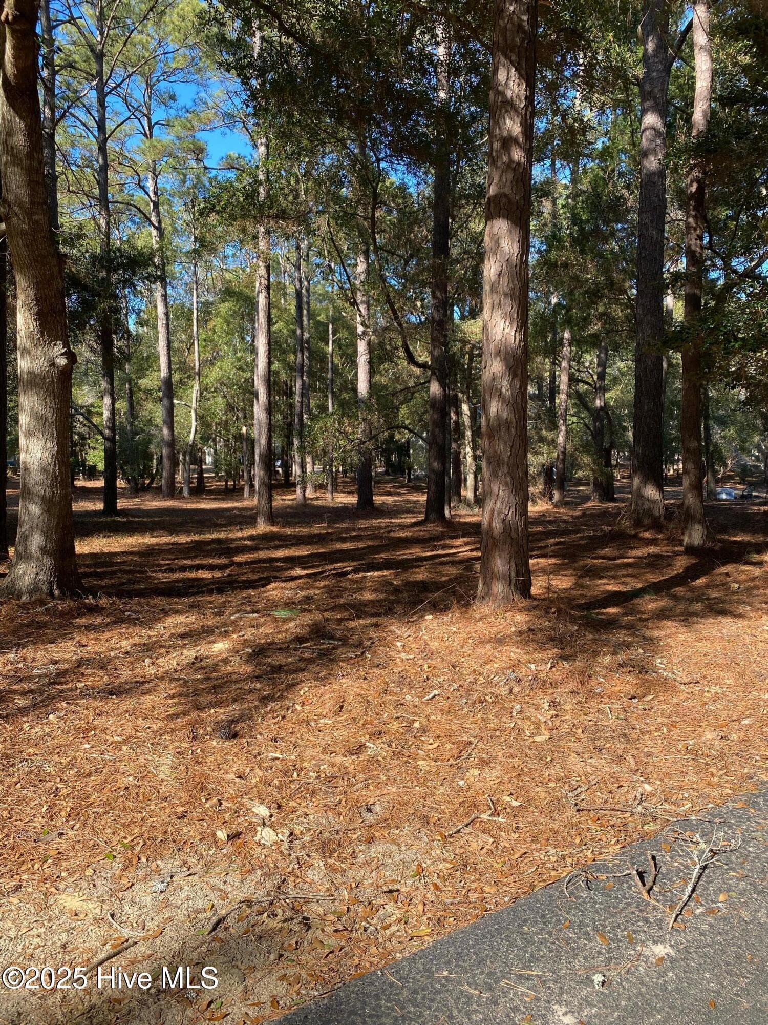 670 Cypress Grove Court SE, Bolivia, NC 28422