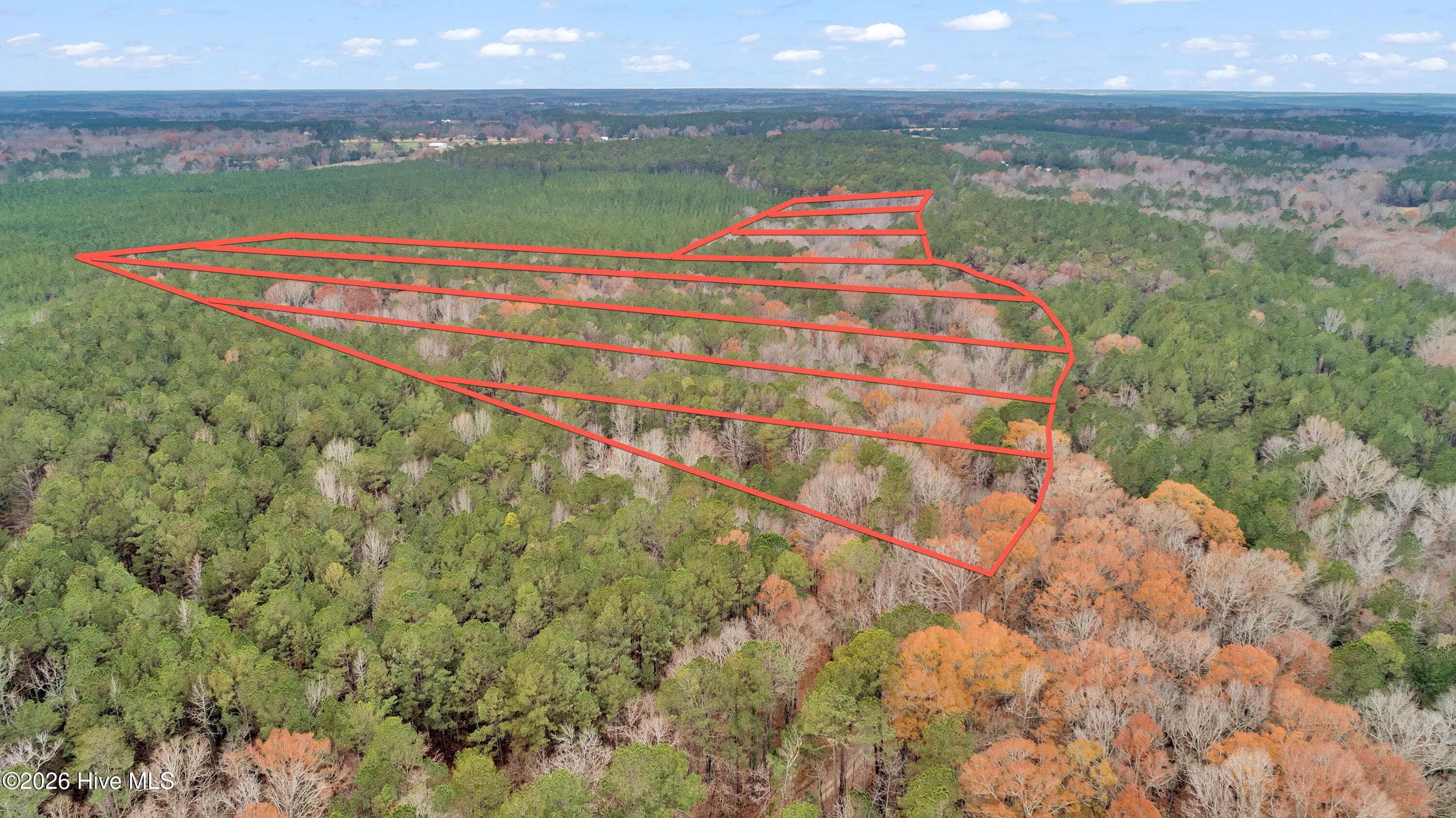 Agriculture at Lot 4 Saggus Road, Washington, GA 30673, photo 22 of 25