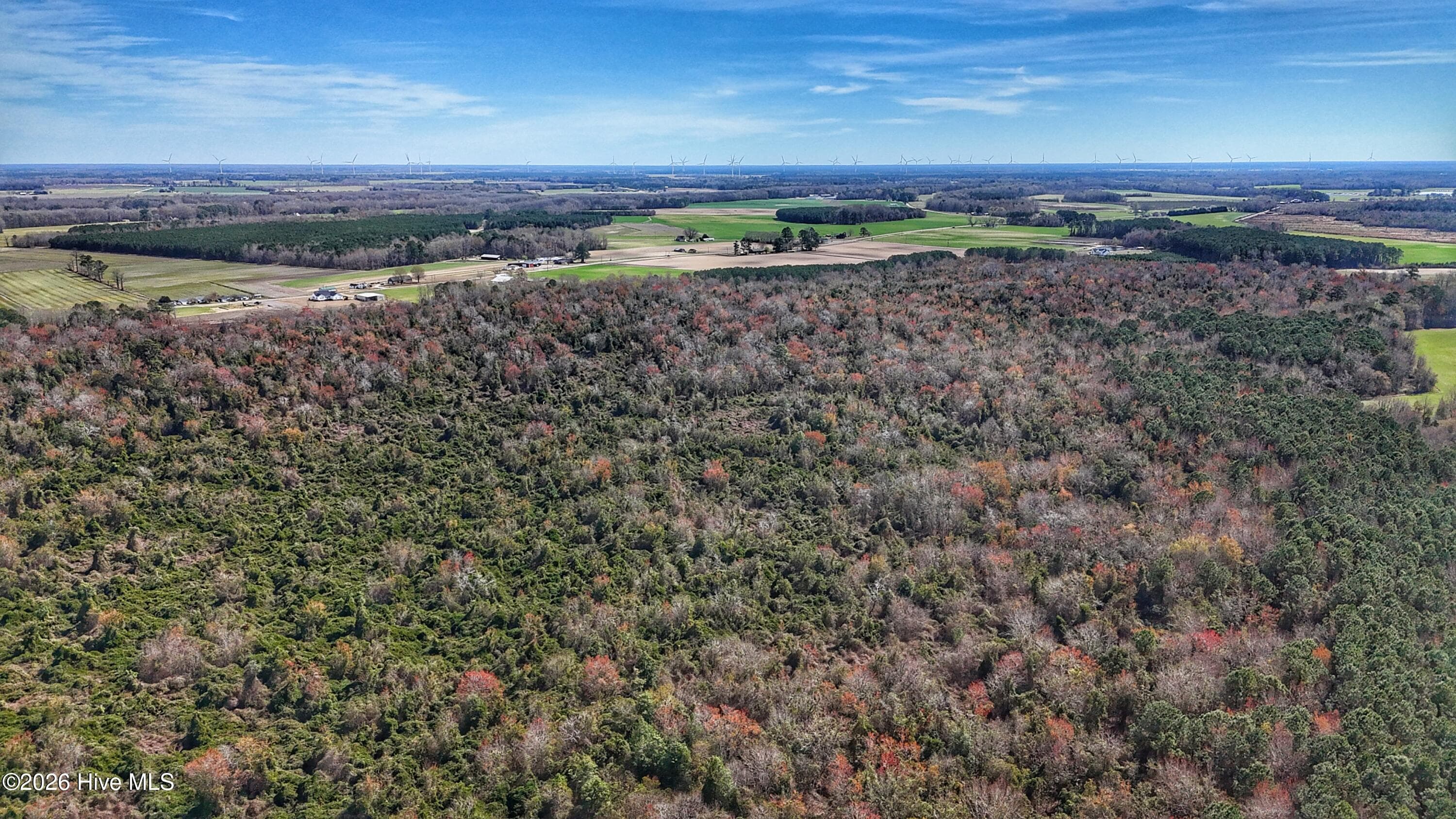 Wooded at 1612 Rocky Hock Landing Road, Edenton, NC 27932, photo 21 of 45
