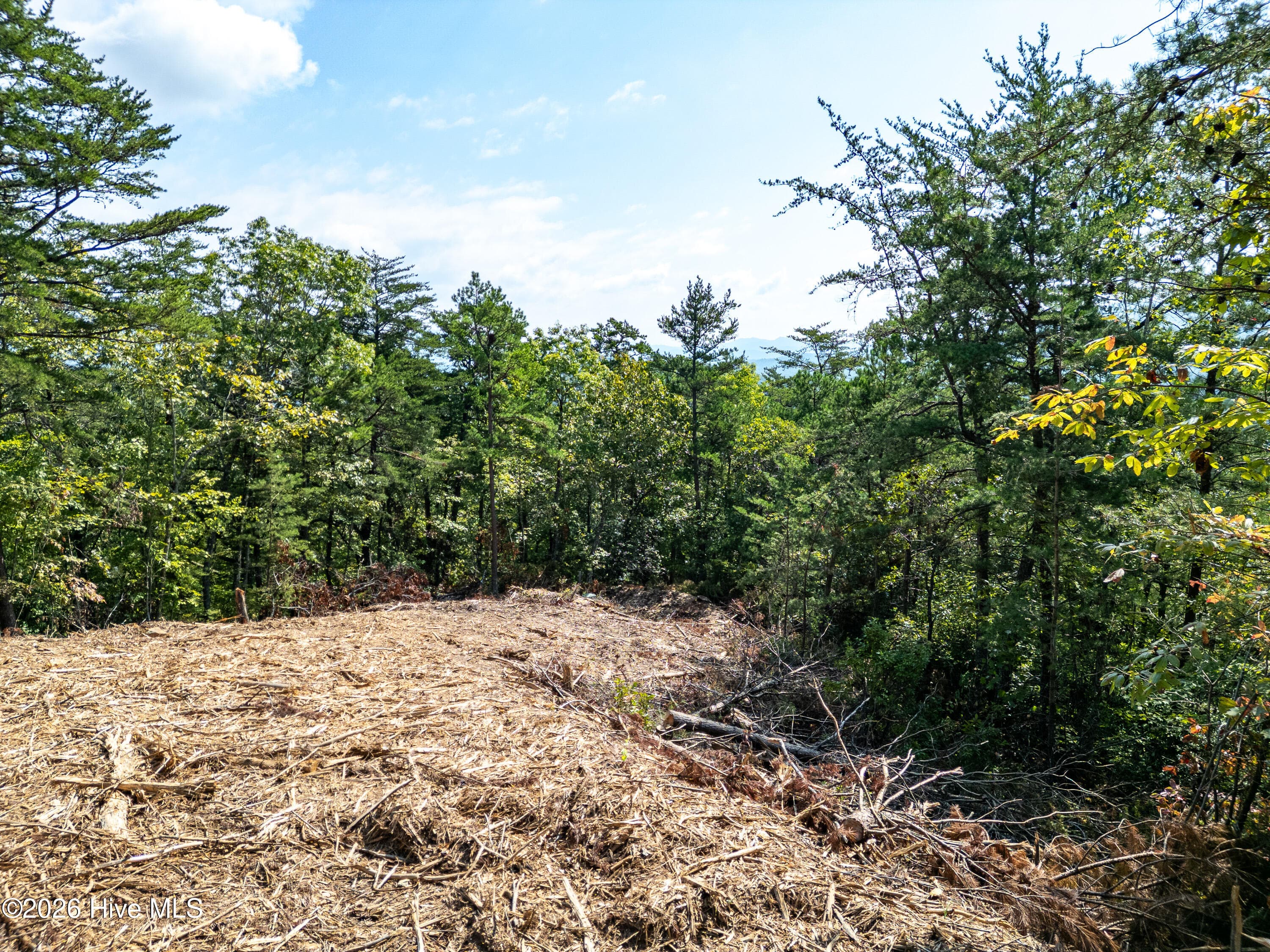Residential Lot at Lot 156 Crossover Lane, Murphy, NC 28906, photo 9 of 24