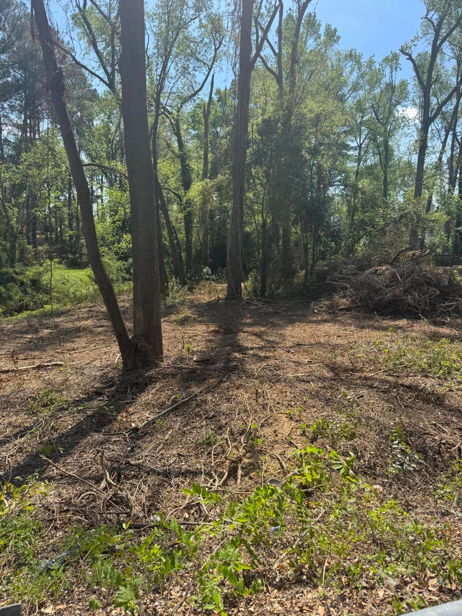 Residential Lot at 3044 Wheeler Road, Augusta, GA 30909, photo 4 of 8