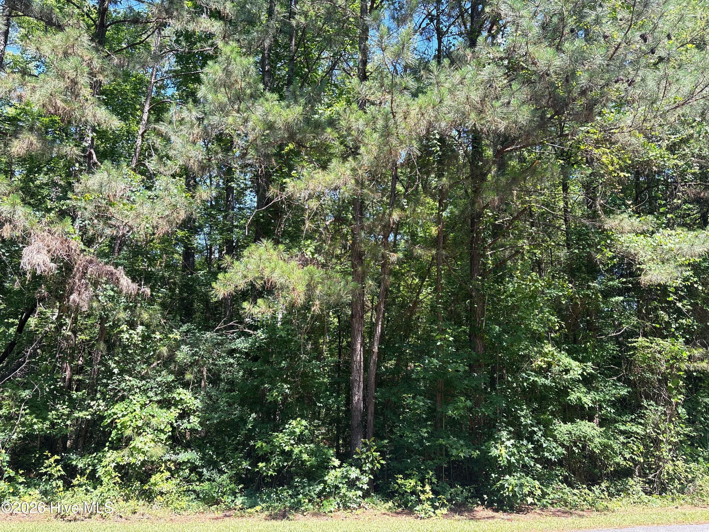 Residential Lot at Lot 10 Bereau Drive, McCormick, SC 29835, photo 4 of 7