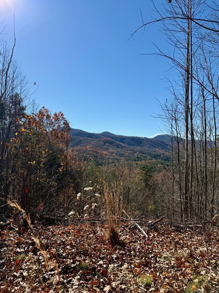 Residential Lot at Lot 13 13 View Ridge Trail, Murphy, NC 28906, photo 8 of 11