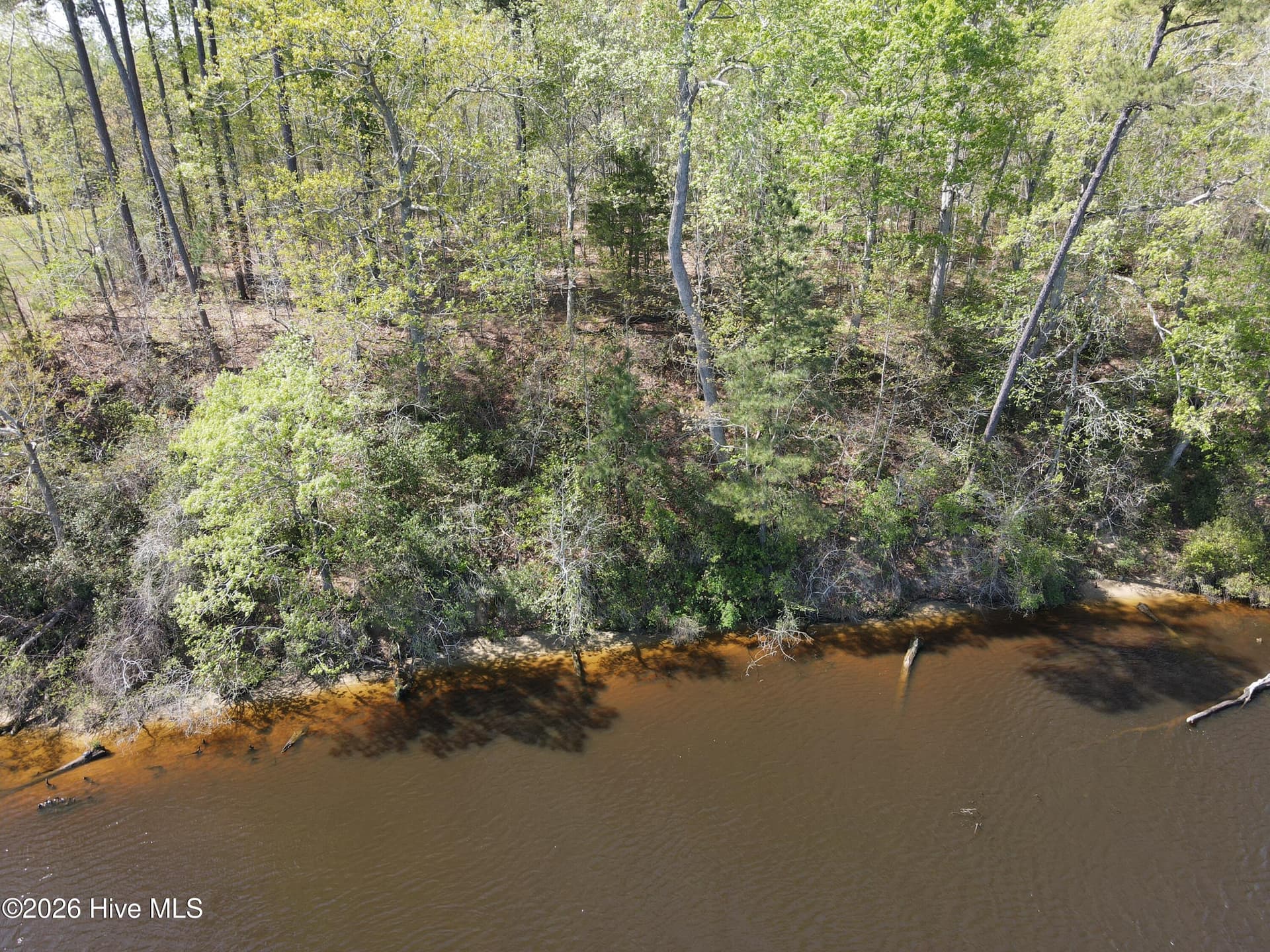 Residential Lot at Lot 10 Riverview Court, Winton, NC 27986, photo 4 of 12