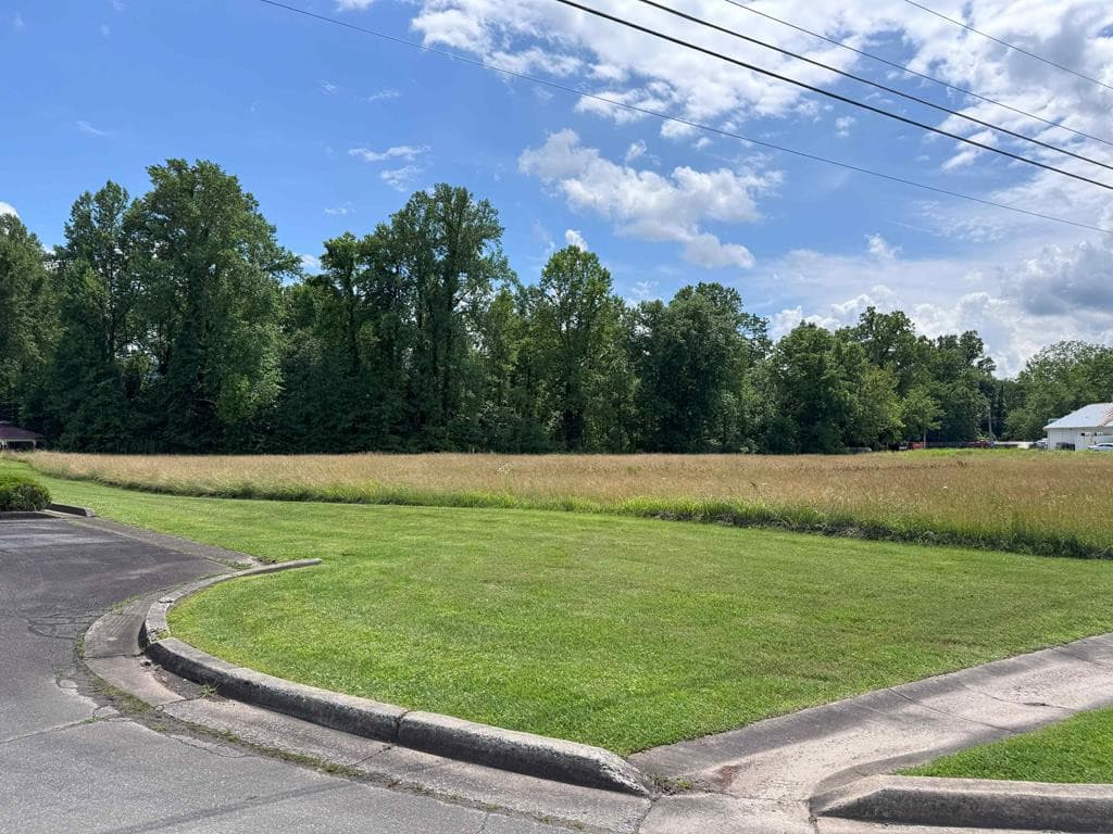 Land at 4.27 Upper Valley Lane, Andrews, NC 28901, photo 3 of 7