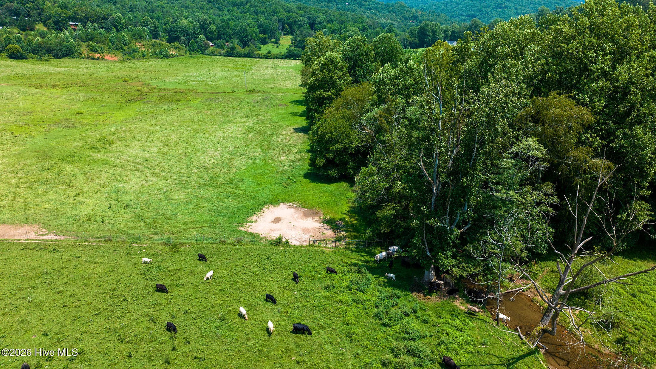 Agriculture at 51.20 Ac Bethabara Road, Hayesville, NC 28904, photo 5 of 17