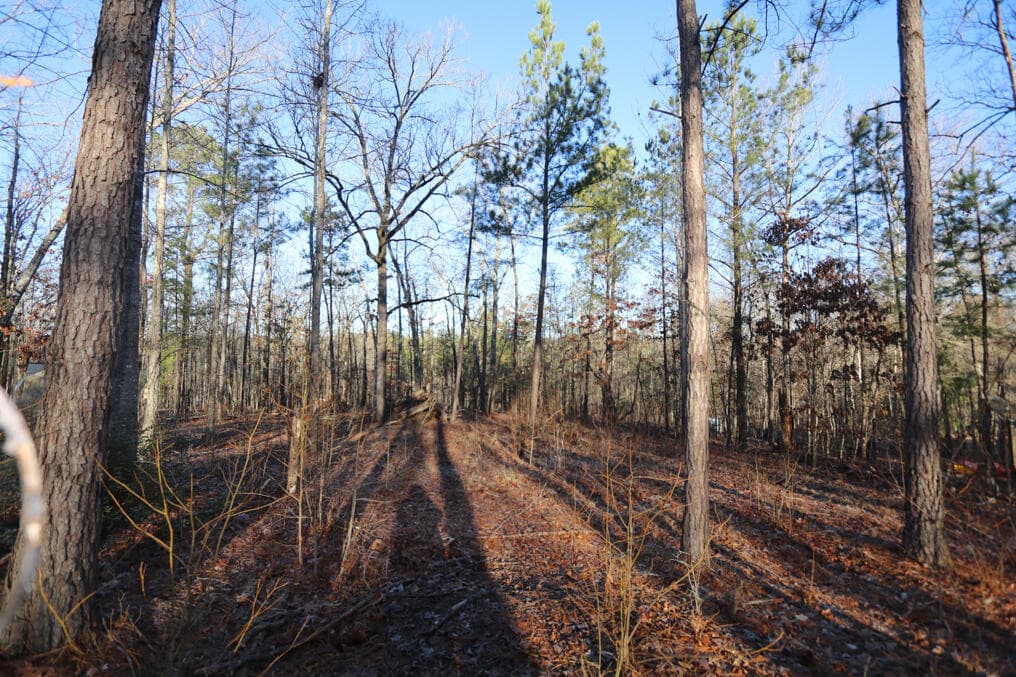 Residential Lot at 1102 Dogwood Drive, Lincolnton, GA 30817, photo 2 of 46