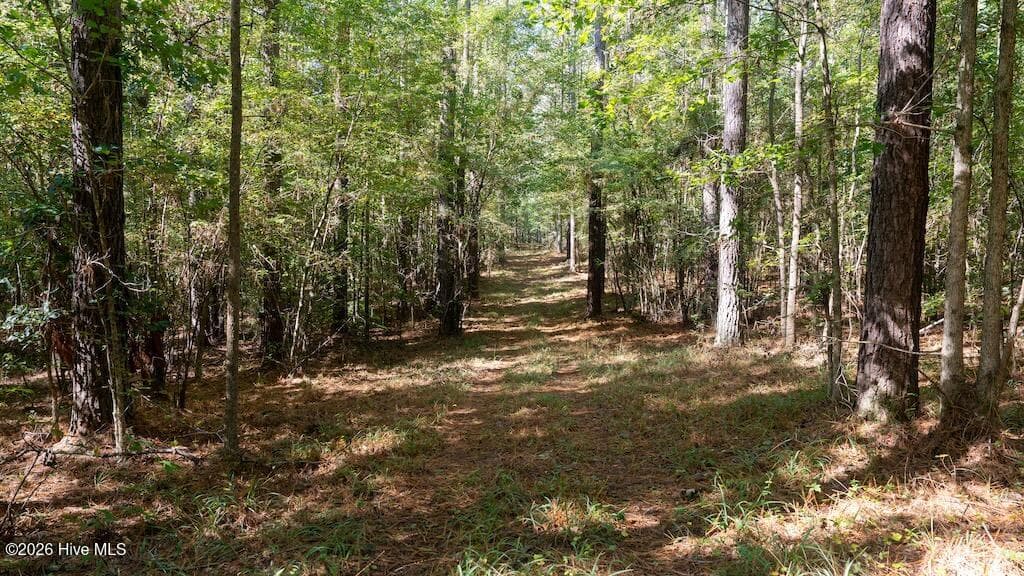 Mixed Use at 0 Spring Hill Road, Scotland Neck, NC 27874, photo 37 of 93