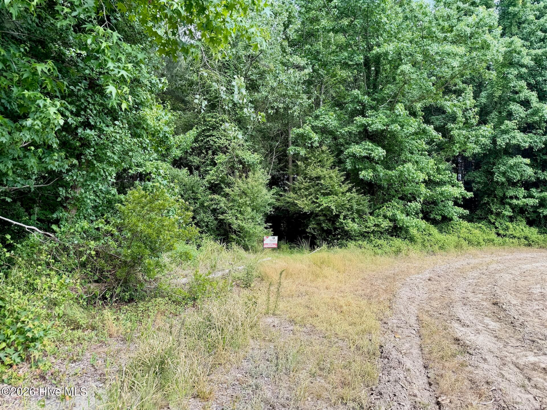 Recreation at 0 Off 1040d Republican Road, Windsor, NC 27983, photo 6 of 27