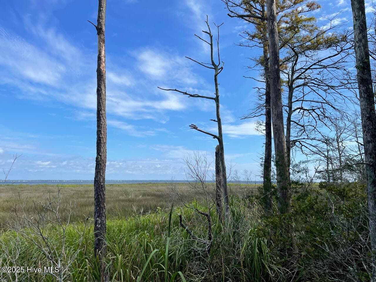 Residential Lot at 237 97 Garbacon Drive, Beaufort, NC 28516, photo 2 of 4