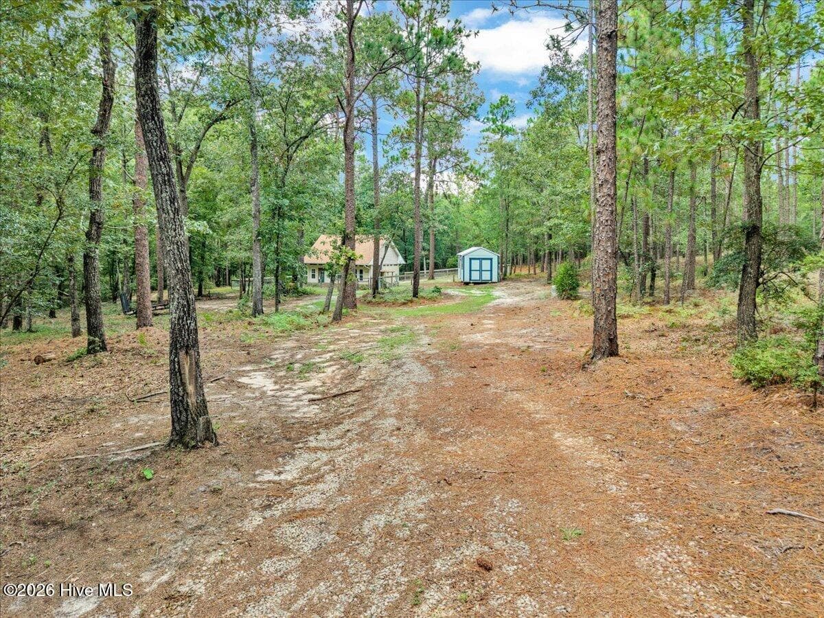 Wooded at 4359 Storm Branch Road, Aiken, SC 29803, photo 5 of 57
