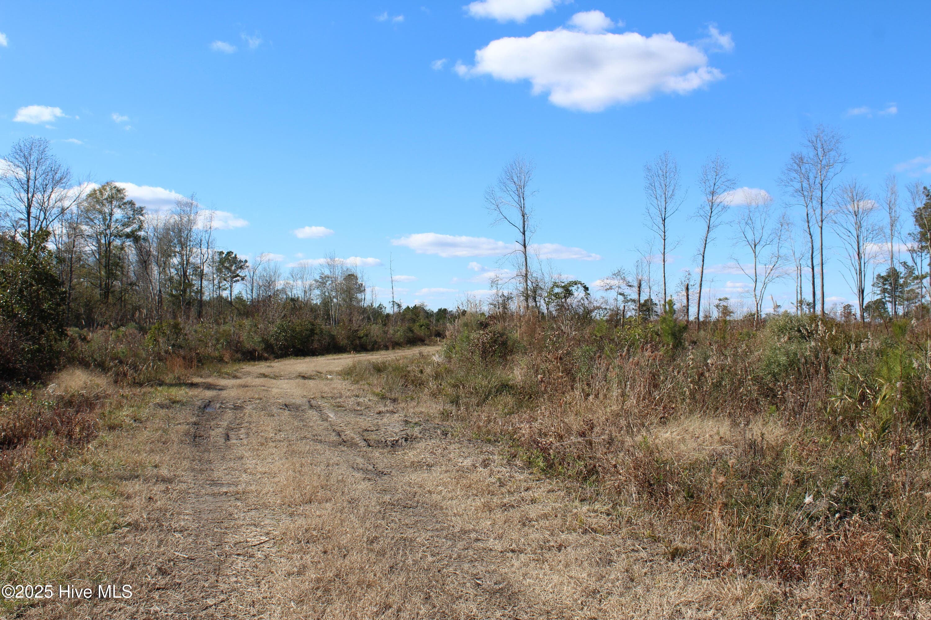 Undeveloped at Lot 1 Richlands Road, Trenton, NC 28585, photo 2 of 3
