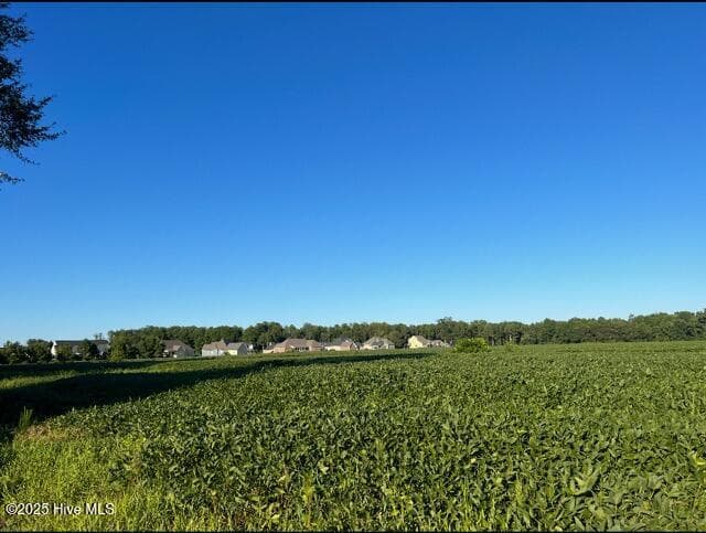 Farm at 0 Nc 111, Goldsboro, NC 27534, photo 4 of 11