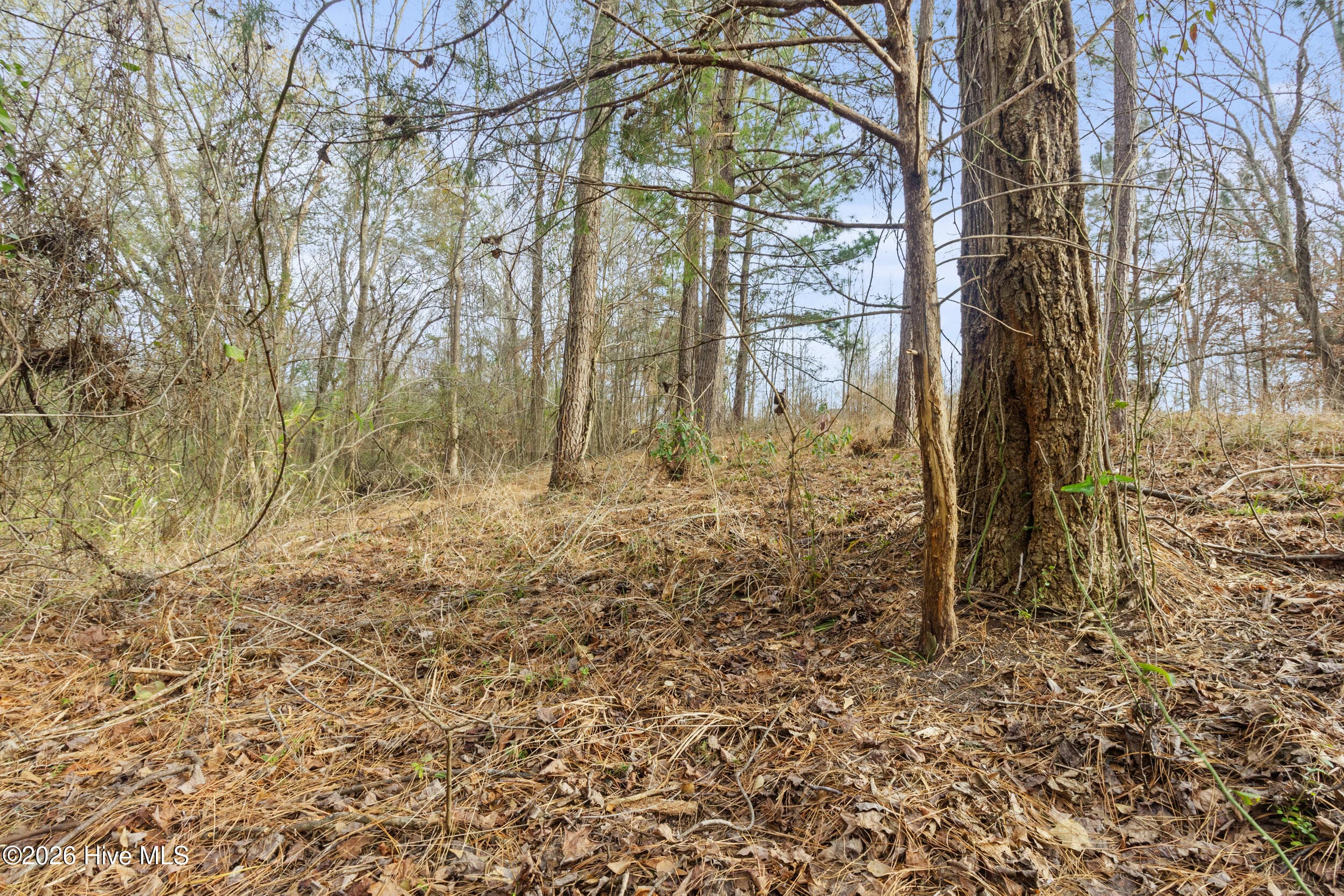 Undeveloped at 2711 Old Airport Road, New Bern, NC 28562, photo 7 of 23