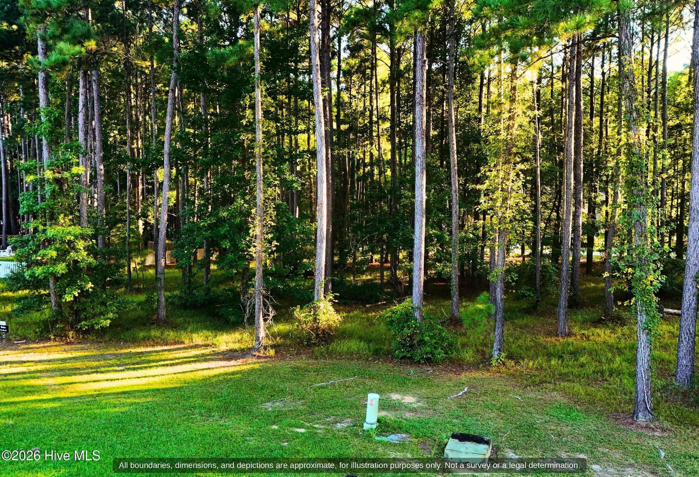 Flat, wooded lot with a grassy opening in gated Arlington Place, Pamlico County NC - 0000-0000 LOT 83 Mill Creek Drive, Minnesott Beach, NC 28510
