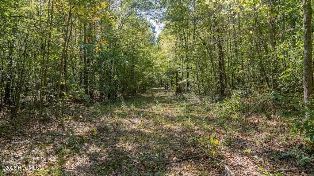 Mixed Use at 0 Spring Hill Road, Scotland Neck, NC 27874, photo 50 of 93
