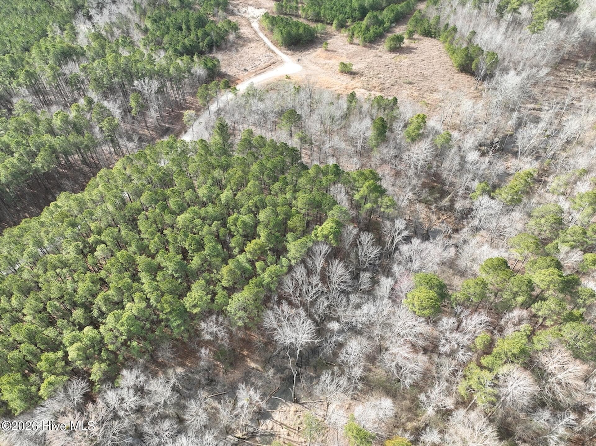 Residential Lot at 405 23 Batts Island Road, Edenton, NC 27932, photo 4 of 7