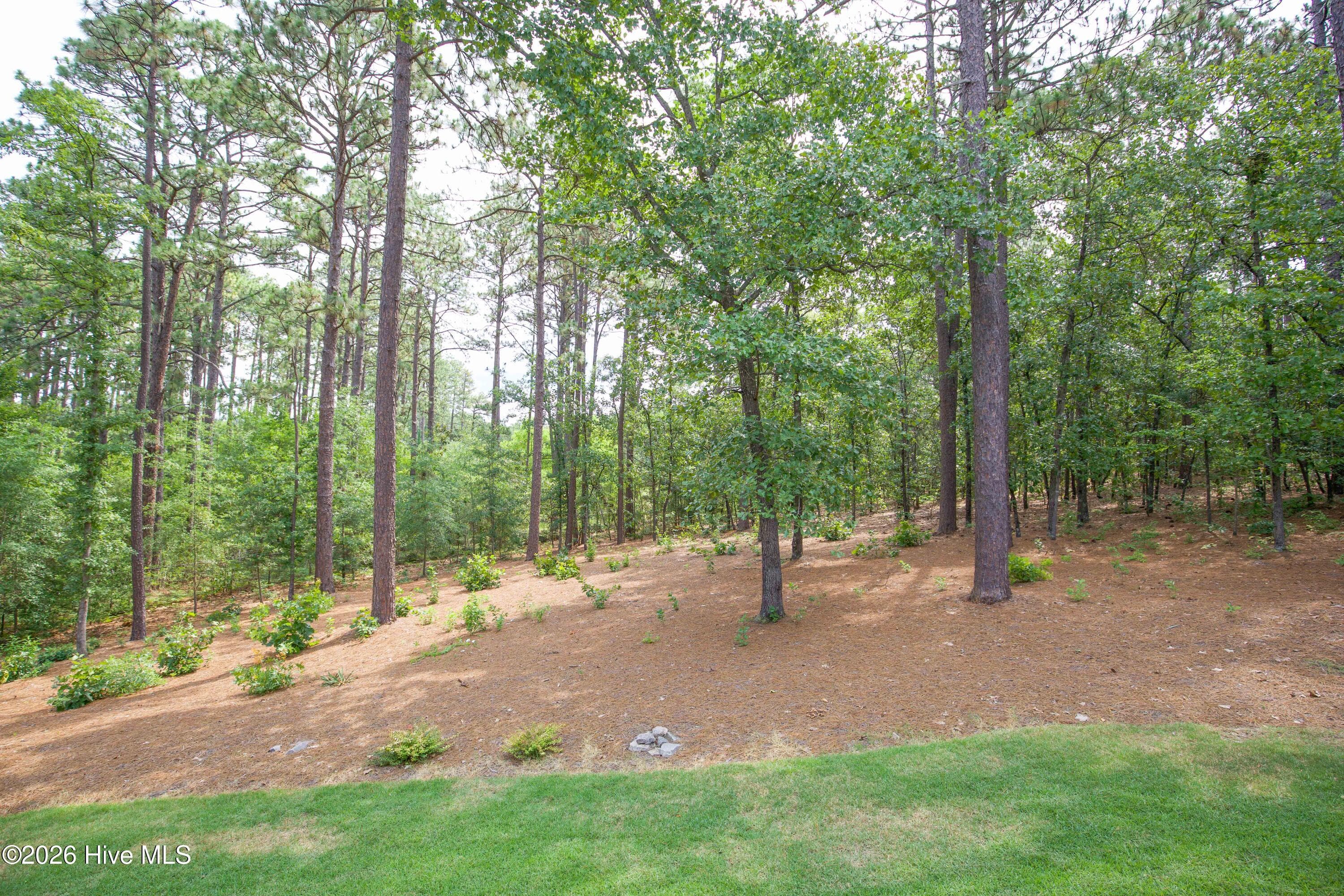 Single Family Residence at 102 Greystones Court, Pinehurst, NC 28374, photo 64 of 65