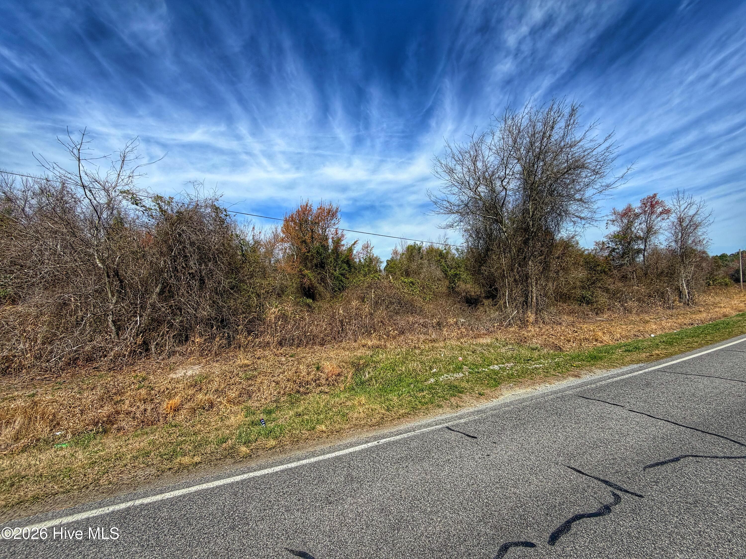 Wooded at 1612 Rocky Hock Landing Road, Edenton, NC 27932, photo 45 of 45
