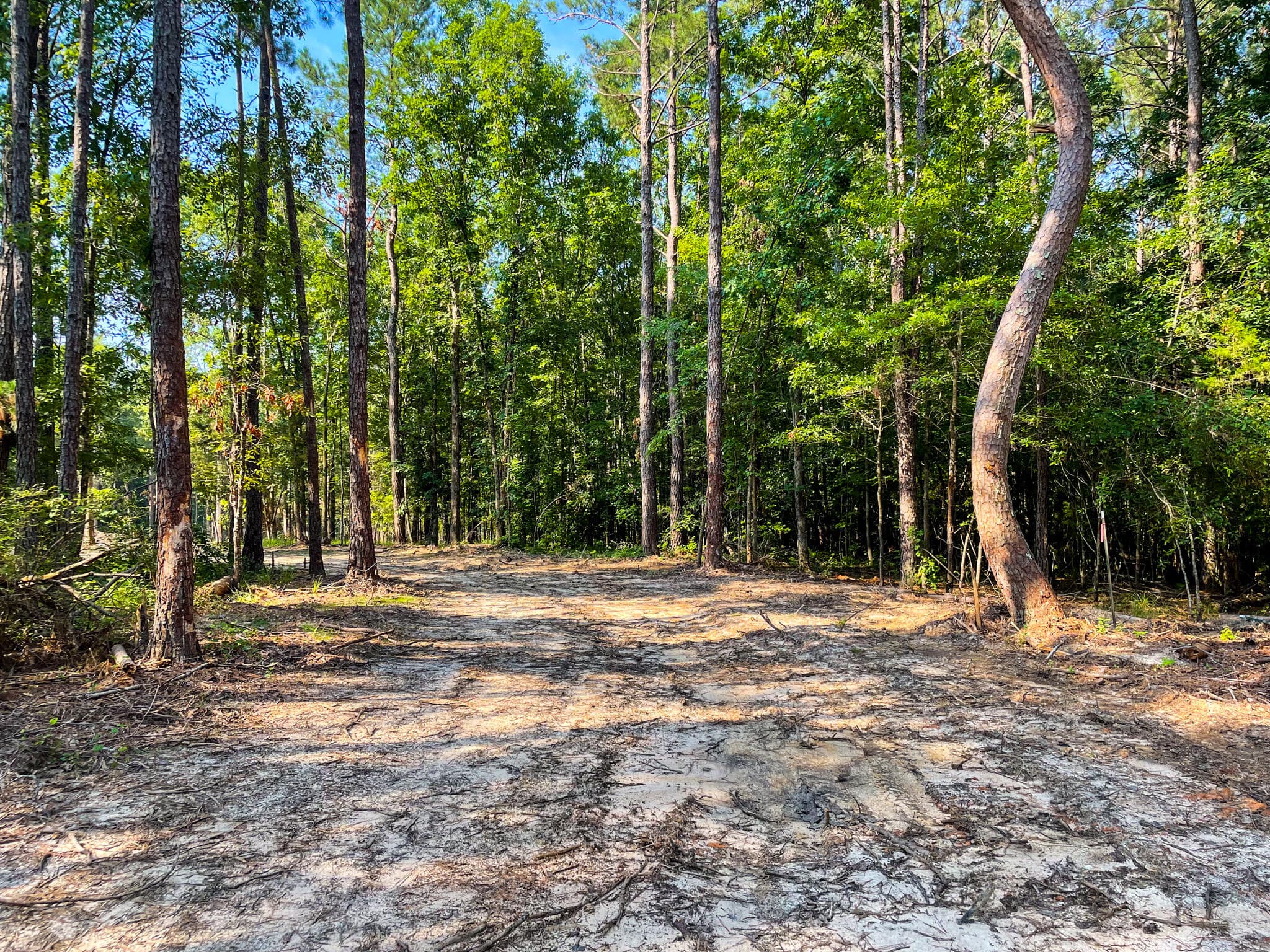 Undeveloped at 0 Backway Road, Lincolnton, GA 30817, photo 7 of 48