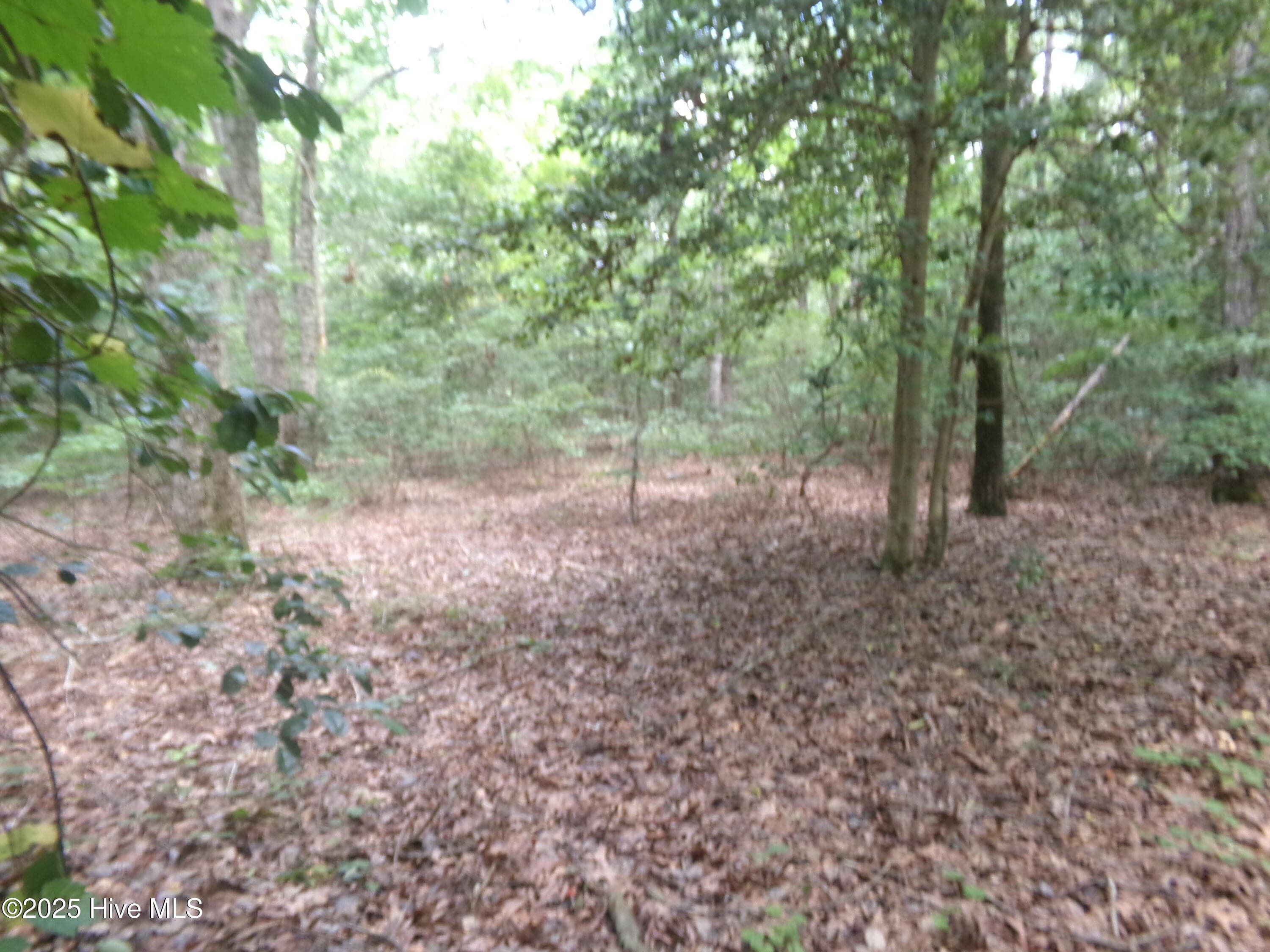 Nice place for a home - Lot 37 Plantation Road, Elizabethtown, NC 28337