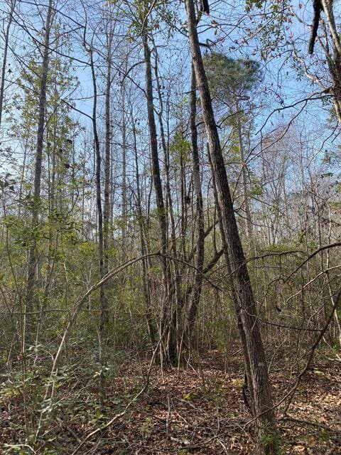 Residential Lot at Lot 12 Robin Boulevard, Swainsboro, GA 30401, photo 7 of 11