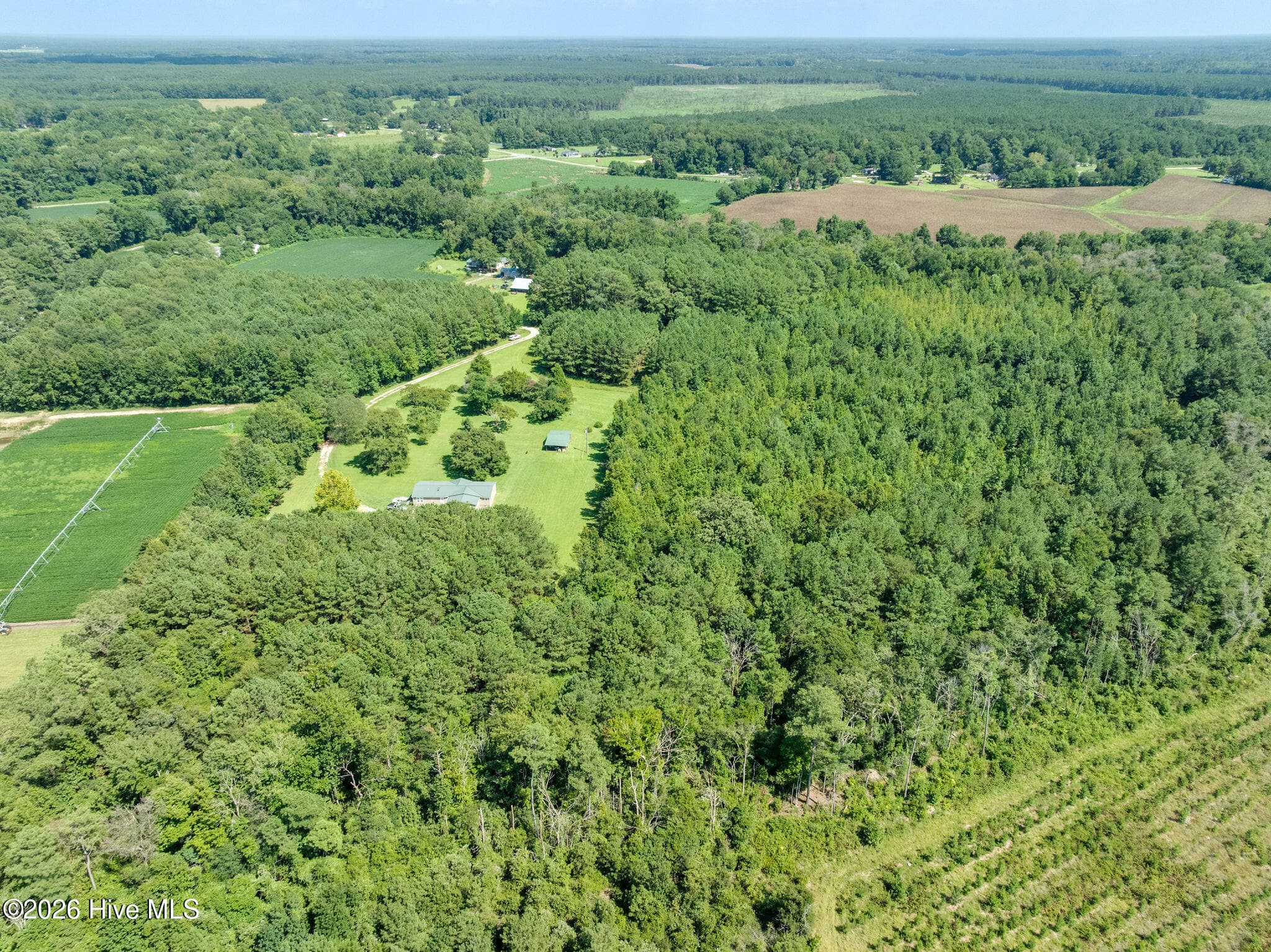 Wooded at 000 S Wisteria Lane, Willard, NC 28478, photo 4 of 10