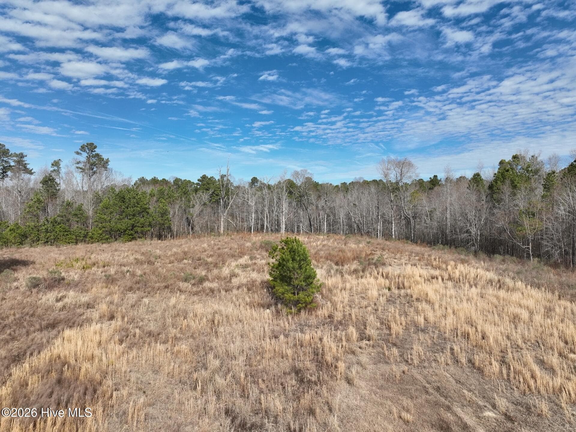 Residential Lot at 405 23 Batts Island Road, Edenton, NC 27932, photo 7 of 7