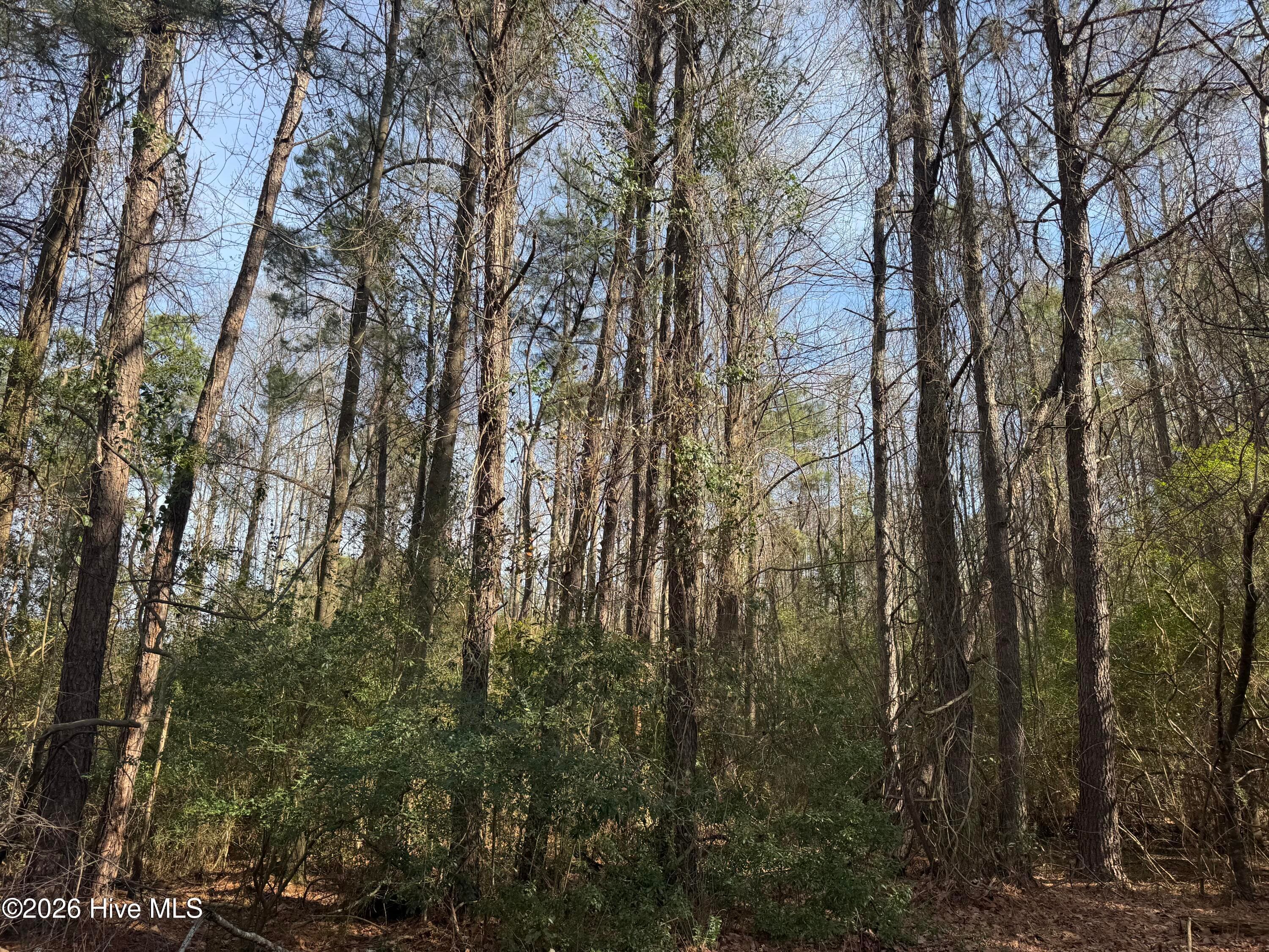 Mixed Use at 0 Butler Mill Road, Bladenboro, NC 28320, photo 5 of 7