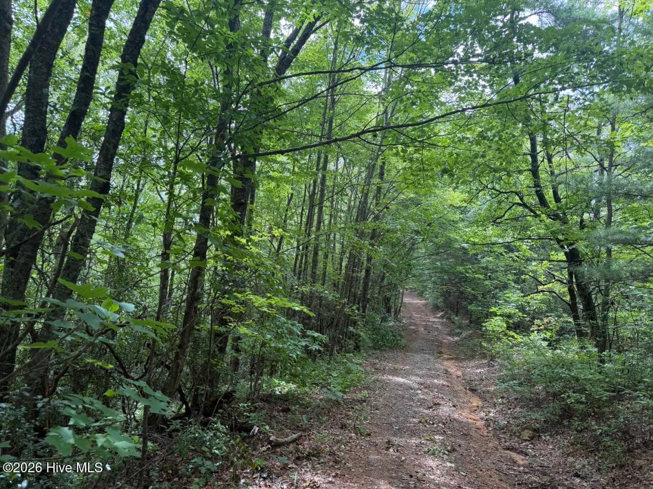 Undeveloped at 760 Cliff Top Trail, Andrews, NC 28901, photo 7 of 14