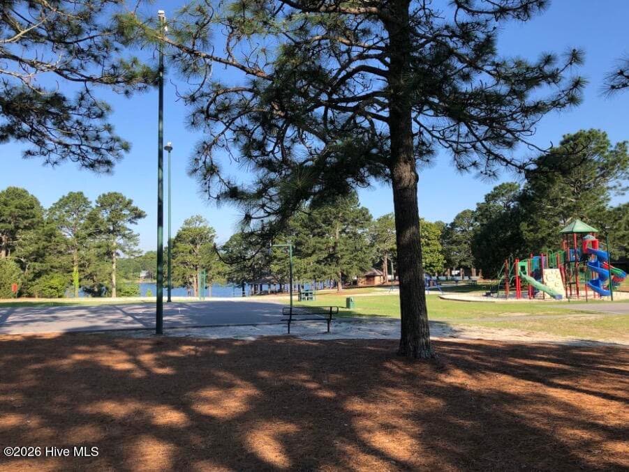 Playground - 104 Tiverton Court, Seven Lakes, NC 27376