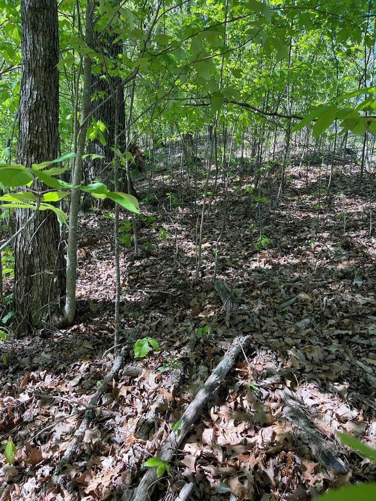 Lot 11j 11J Ash Branch View, Hayesville, NC 28904