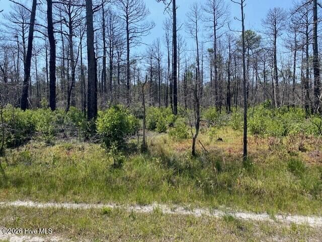 Wooded at 799 73 Jasmine Road, Boiling Spring Lakes, NC 28461, photo 2 of 5